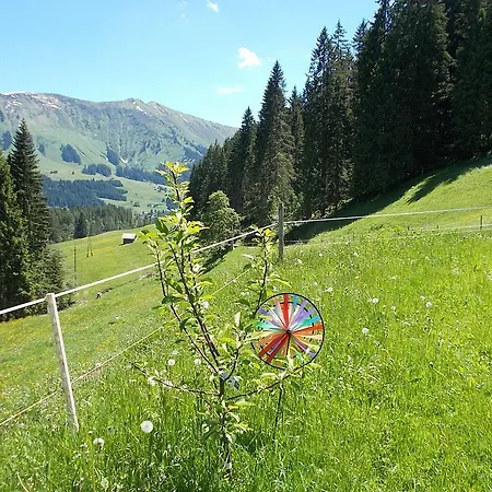 Lägenhet Berghof Felder Riezlern