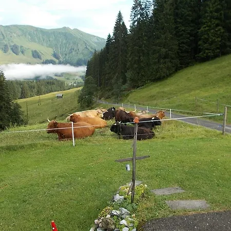 Berghof Felder *