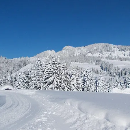 Berghof Felder Lägenhet Riezlern